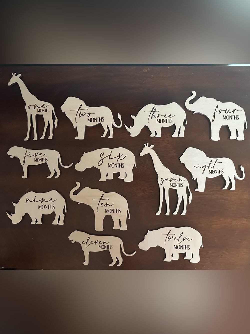 Neutral Safari Animal Monthly Milestone Signs - 12 Pieces